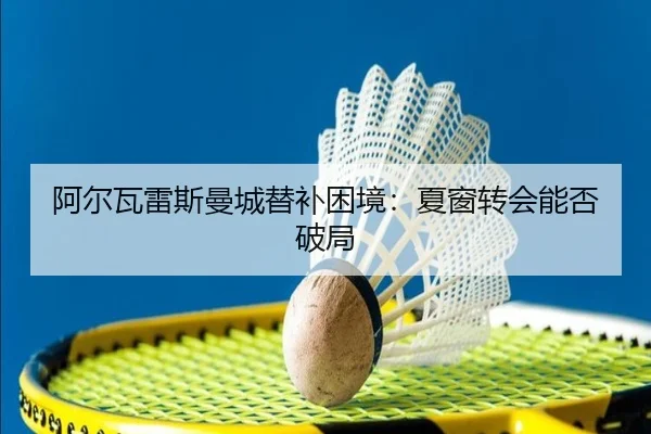 阿尔瓦雷斯曼城替补困境：夏窗转会能否破局